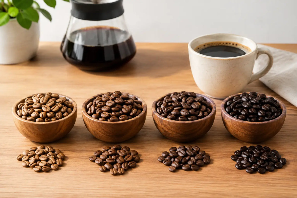Coffee Roast Guide for Your Everyday Cup