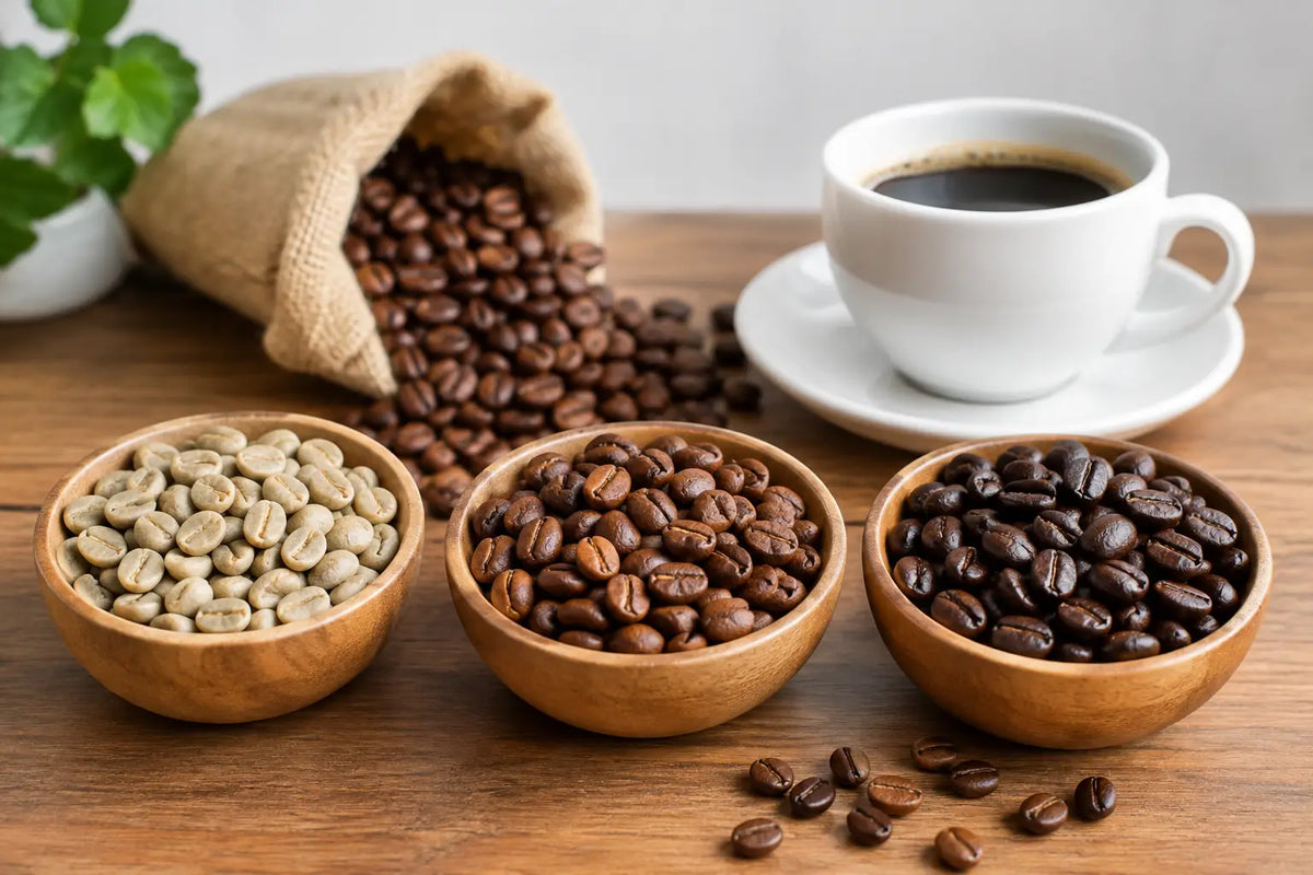 Guide to Selecting Coffee Beans for Your Cup